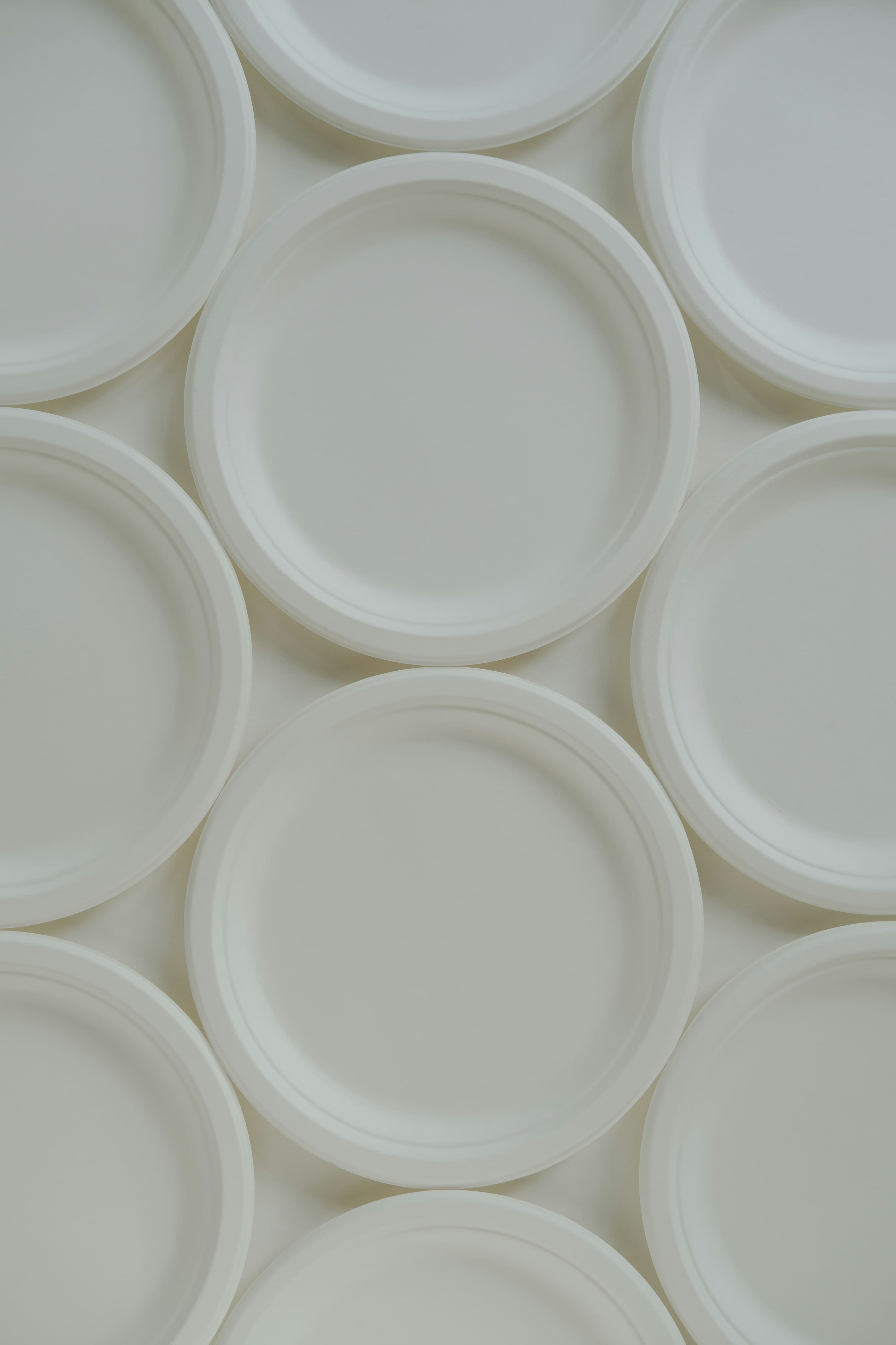 White disposable paper plates