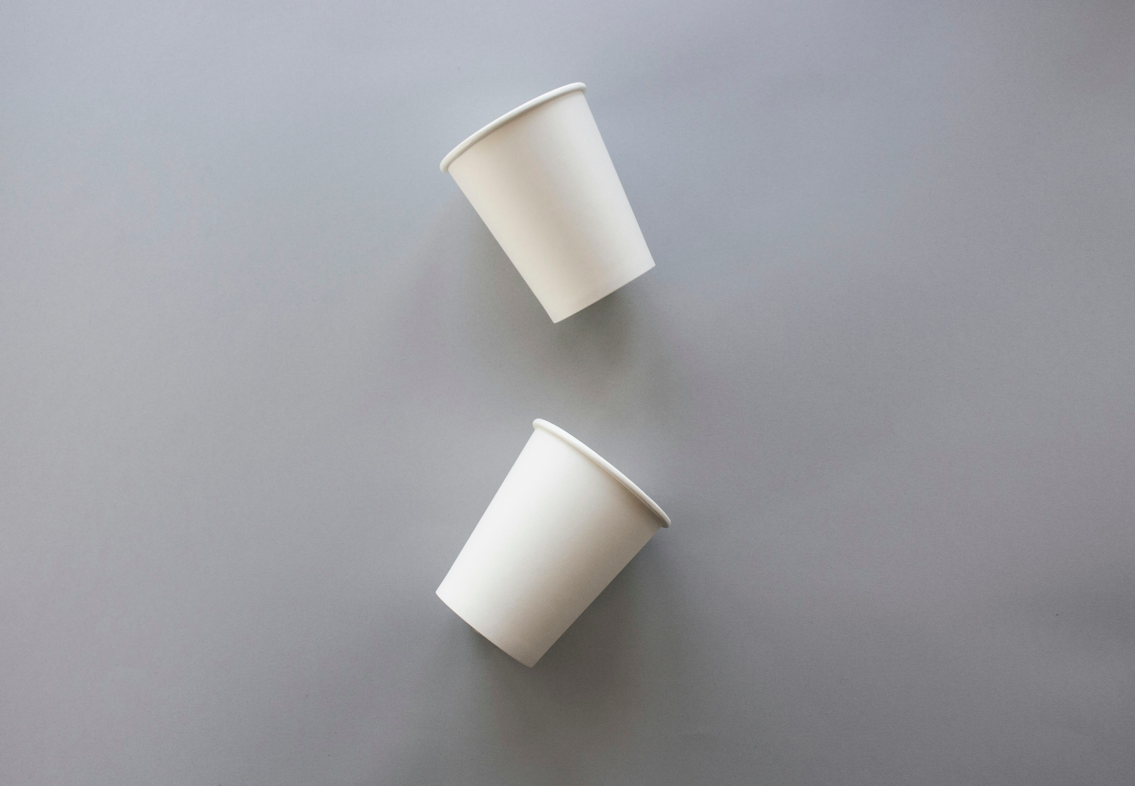 White disposable paper cups